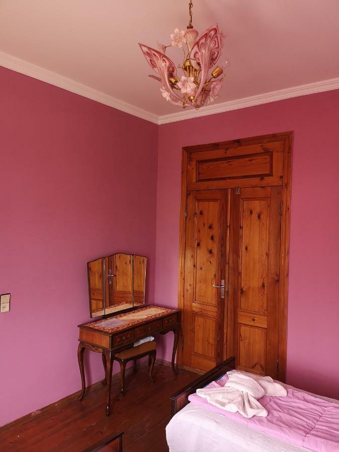 Shorena'S House Zugdidi Kültér fotó